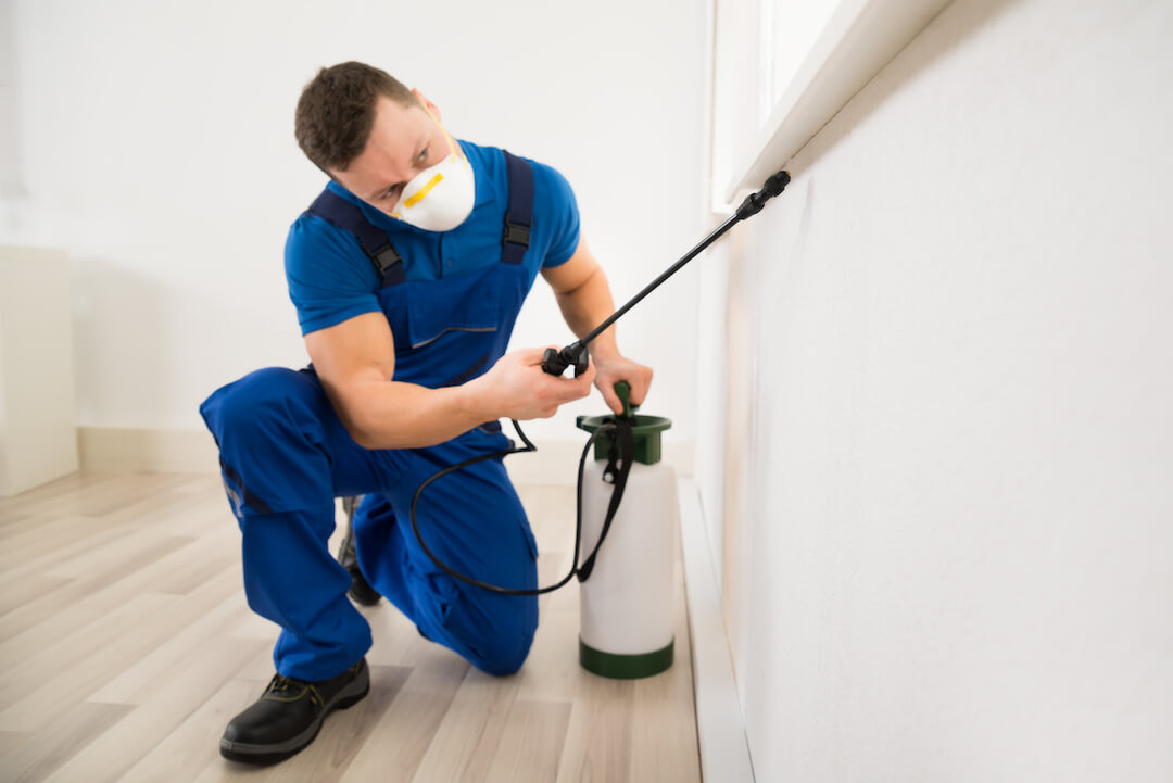 An exterminator in navy coveralls and a face mask spraying a treatment on the walls inside a house.
